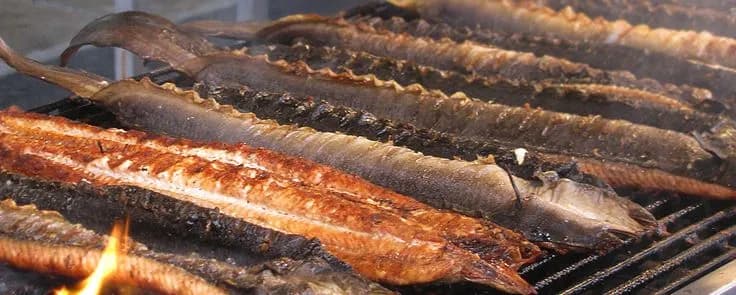 Najlepsze przepisy na węgorz z grilla, które zachwycą Twoje kubki smakowe